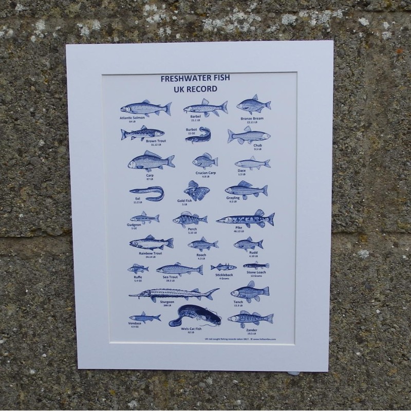 Fishing Records Print Fishing Records Print